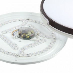 Накладной светильник Эра Классик SPB-6-70-RC Sance в Белоярском (ХМАО) - beloiarskii.ok-mebel.com | фото 9
