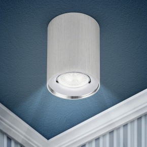 Накладной светильник Эра  OL1 GU10 SL/CH в Белоярском (ХМАО) - beloiarskii.ok-mebel.com | фото 3