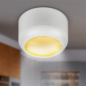 Накладной светильник Эра  OL56 WH в Белоярском (ХМАО) - beloiarskii.ok-mebel.com | фото 8