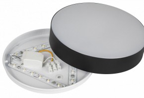 Накладной светильник Эра Relict Relict 22 SPB-6-20 4К BK в Белоярском (ХМАО) - beloiarskii.ok-mebel.com | фото 7