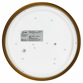 Накладной светильник Эра Relict Relict 22 SPB-6-20 4К MG в Белоярском (ХМАО) - beloiarskii.ok-mebel.com | фото 4