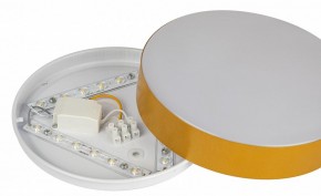 Накладной светильник Эра Relict Relict 22 SPB-6-20 4К MG в Белоярском (ХМАО) - beloiarskii.ok-mebel.com | фото 6