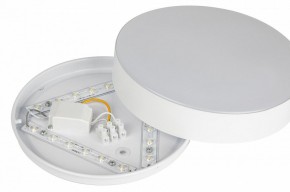 Накладной светильник Эра Relict Relict 22 SPB-6-20 4К WH в Белоярском (ХМАО) - beloiarskii.ok-mebel.com | фото 7