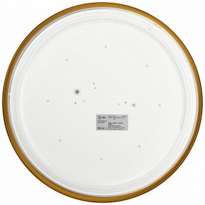 Накладной светильник Эра Relict Relict 38 SPB-6-40 4К MG в Белоярском (ХМАО) - beloiarskii.ok-mebel.com | фото 3