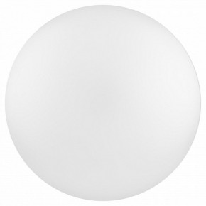 Накладной светильник Эра Relict Relict 38 SPB-6-40 4К WH в Белоярском (ХМАО) - beloiarskii.ok-mebel.com | фото 2
