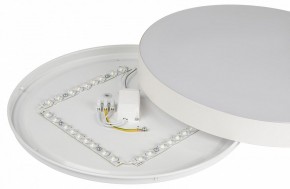 Накладной светильник Эра Relict Relict 38 SPB-6-40 4К WH в Белоярском (ХМАО) - beloiarskii.ok-mebel.com | фото 7