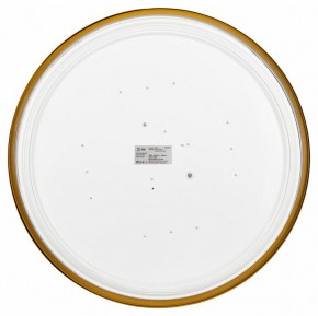 Накладной светильник Эра Relict Relict 48 Pult SPB-6-60-RC MG в Белоярском (ХМАО) - beloiarskii.ok-mebel.com | фото 4