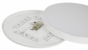 Накладной светильник Эра Relict Relict 48 Pult SPB-6-60-RC WH в Белоярском (ХМАО) - beloiarskii.ok-mebel.com | фото 11