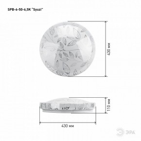 Накладной светильник Эра Relict SPB-6-50-6,5K Syuzi в Белоярском (ХМАО) - beloiarskii.ok-mebel.com | фото 3