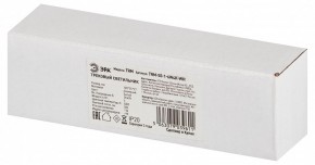Накладной светильник Эра  TRM-S5-1-6W4K-WH в Белоярском (ХМАО) - beloiarskii.ok-mebel.com | фото 6