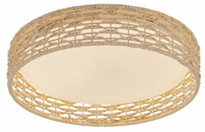Накладной светильник F-promo Conrad 4749-4C в Белоярском (ХМАО) - beloiarskii.ok-mebel.com | фото 2