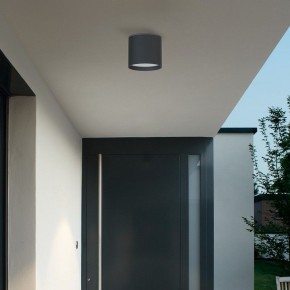 Накладной светильник Favourite Fantum 4663-1U в Белоярском (ХМАО) - beloiarskii.ok-mebel.com | фото 3