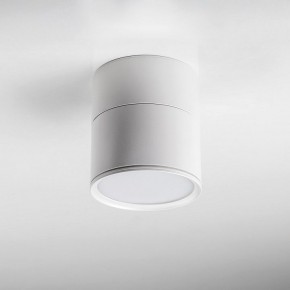 Накладной светильник Lightstar Acuto 215886 в Белоярском (ХМАО) - beloiarskii.ok-mebel.com | фото 3