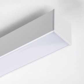 Накладной светильник Lightstar Lilla 202146 в Белоярском (ХМАО) - beloiarskii.ok-mebel.com | фото 4