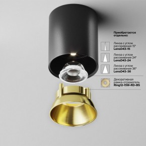 Накладной светильник Maytoni Alfa LED C064CL-12W4K-RD-B в Белоярском (ХМАО) - beloiarskii.ok-mebel.com | фото 3