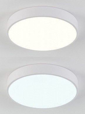Накладной светильник Natali Kovaltseva  LED LAMPS 81111/5C в Белоярском (ХМАО) - beloiarskii.ok-mebel.com | фото 4