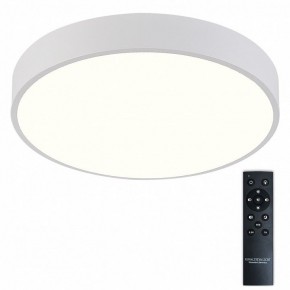 Накладной светильник Natali Kovaltseva  LED LAMPS 81112/5C в Белоярском (ХМАО) - beloiarskii.ok-mebel.com | фото 2
