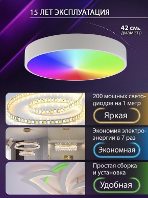 Накладной светильник Natali Kovaltseva MODERN LED LAMPS 81105/1C в Белоярском (ХМАО) - beloiarskii.ok-mebel.com | фото 6