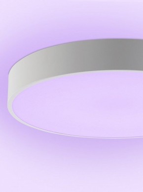 Накладной светильник Natali Kovaltseva MODERN LED LAMPS 81105/1C в Белоярском (ХМАО) - beloiarskii.ok-mebel.com | фото 9