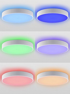 Накладной светильник Natali Kovaltseva MODERN LED LAMPS 81105/2C в Белоярском (ХМАО) - beloiarskii.ok-mebel.com | фото 5