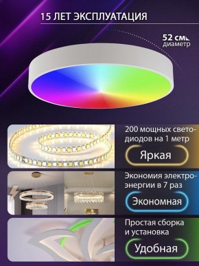 Накладной светильник Natali Kovaltseva MODERN LED LAMPS 81105/2C в Белоярском (ХМАО) - beloiarskii.ok-mebel.com | фото 6