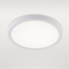 Накладной светильник Natali Kovaltseva PLAIN LED LAMPS 81113/1C в Белоярском (ХМАО) - beloiarskii.ok-mebel.com | фото 2