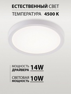 Накладной светильник Natali Kovaltseva PLAIN LED LAMPS 81113/1C в Белоярском (ХМАО) - beloiarskii.ok-mebel.com | фото 4
