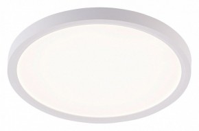 Накладной светильник Natali Kovaltseva PLAIN LED LAMPS 81113/2C в Белоярском (ХМАО) - beloiarskii.ok-mebel.com | фото