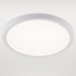 Накладной светильник Natali Kovaltseva PLAIN LED LAMPS 81113/2C в Белоярском (ХМАО) - beloiarskii.ok-mebel.com | фото 2