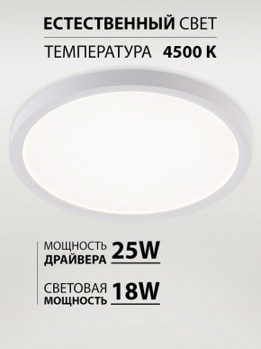 Накладной светильник Natali Kovaltseva PLAIN LED LAMPS 81113/2C в Белоярском (ХМАО) - beloiarskii.ok-mebel.com | фото 3