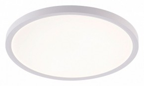 Накладной светильник Natali Kovaltseva PLAIN LED LAMPS 81113/3C в Белоярском (ХМАО) - beloiarskii.ok-mebel.com | фото