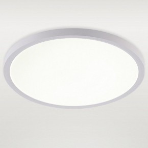 Накладной светильник Natali Kovaltseva PLAIN LED LAMPS 81113/3C в Белоярском (ХМАО) - beloiarskii.ok-mebel.com | фото 2