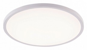Накладной светильник Natali Kovaltseva PLAIN LED LAMPS 81113/4C в Белоярском (ХМАО) - beloiarskii.ok-mebel.com | фото