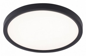 Накладной светильник Natali Kovaltseva PLAIN LED LAMPS 81114/2C в Белоярском (ХМАО) - beloiarskii.ok-mebel.com | фото