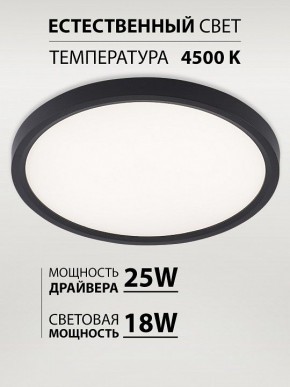 Накладной светильник Natali Kovaltseva PLAIN LED LAMPS 81114/2C в Белоярском (ХМАО) - beloiarskii.ok-mebel.com | фото 3