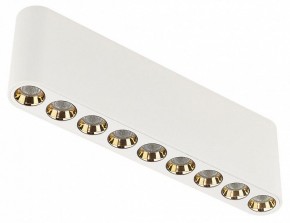 Накладной светильник Odeon Light Small 7091/21CL в Белоярском (ХМАО) - beloiarskii.ok-mebel.com | фото