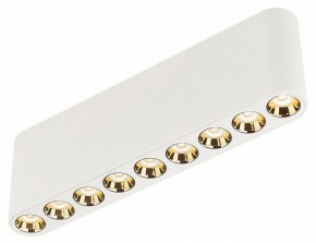 Накладной светильник Odeon Light Small 7091/21CL в Белоярском (ХМАО) - beloiarskii.ok-mebel.com | фото 3