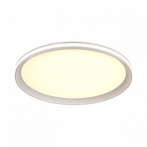 Накладной светильник Sonex Beta 7749/60L в Белоярском (ХМАО) - beloiarskii.ok-mebel.com | фото 6