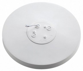 Накладной светильник Sonex Gamma 7759/36L в Белоярском (ХМАО) - beloiarskii.ok-mebel.com | фото 3