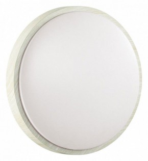 Накладной светильник Sonex Losta 7628/DL в Белоярском (ХМАО) - beloiarskii.ok-mebel.com | фото 6