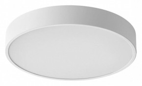 Накладной светильник Sonex Quasar 7755/48L в Белоярском (ХМАО) - beloiarskii.ok-mebel.com | фото