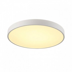 Накладной светильник Sonex Quasar 7755/70L в Белоярском (ХМАО) - beloiarskii.ok-mebel.com | фото 2