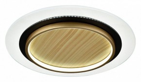 Накладной светильник Sonex Sunny 7731/80L в Белоярском (ХМАО) - beloiarskii.ok-mebel.com | фото