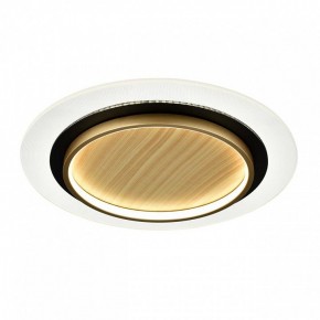 Накладной светильник Sonex Sunny 7731/80L в Белоярском (ХМАО) - beloiarskii.ok-mebel.com | фото 4