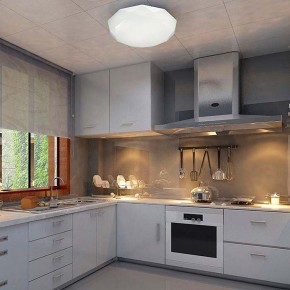 Накладной светильник Sonex Tora 2012/D в Белоярском (ХМАО) - beloiarskii.ok-mebel.com | фото 5