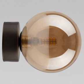 Накладной светильник TK Lighting Estera 10256 Estera в Белоярском (ХМАО) - beloiarskii.ok-mebel.com | фото