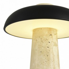 Настольная лампа декоративная ST-Luce Earthy SL1194.424.01 в Белоярском (ХМАО) - beloiarskii.ok-mebel.com | фото 6