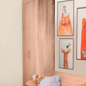 НИКА Н8 Шкаф для одежды и белья в Белоярском (ХМАО) - beloiarskii.ok-mebel.com | фото 4