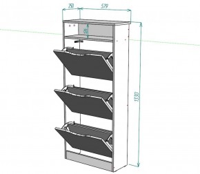 Обувница W10 (ДСС) в Белоярском (ХМАО) - beloiarskii.ok-mebel.com | фото