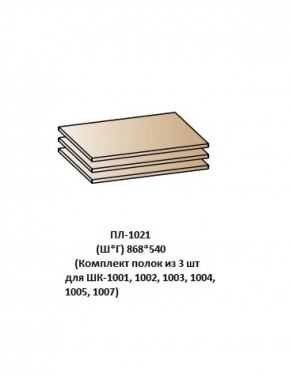 ПЛ-1021 (Комплект полок из 3 шт для ШК-1001, 1002, 1003, 1004, 1005, 1007) в Белоярском (ХМАО) - beloiarskii.ok-mebel.com | фото